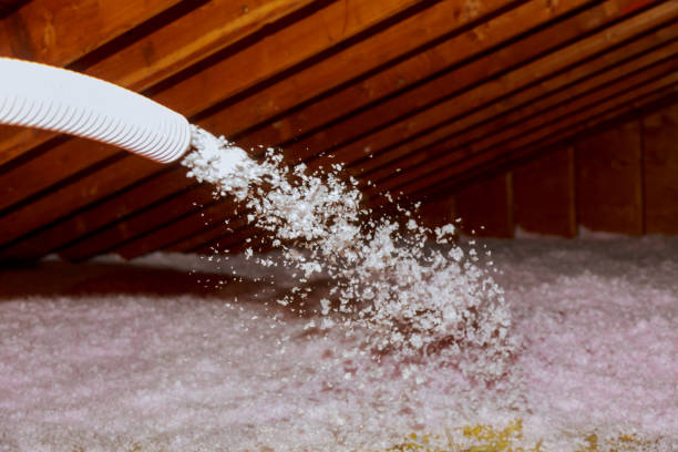 Best Eco-Friendly Insulation in Springfield, VA