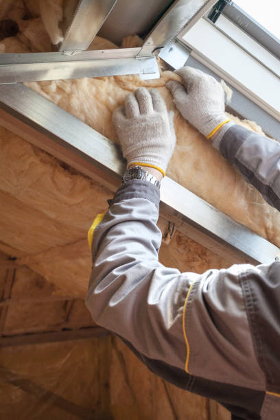 Best Specialized Insulation Services in Springfield, VA