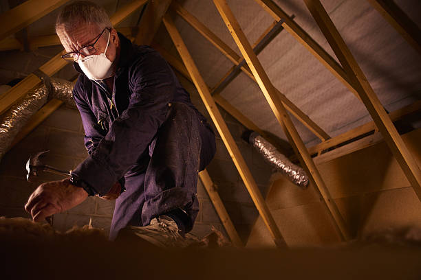 Best Spray Foam Insulation in Springfield, VA