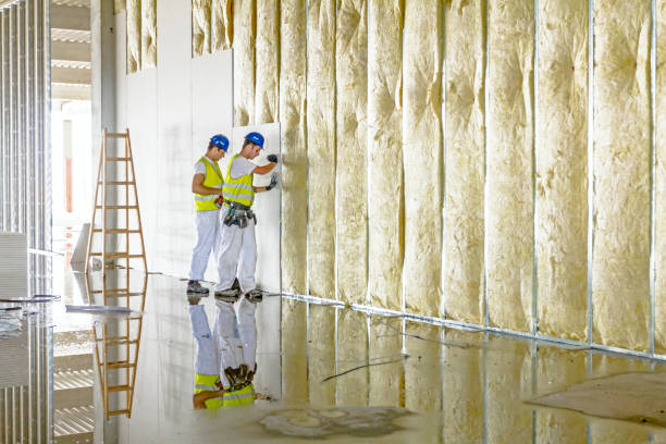 Best Cellulose Insulation in Springfield, VA